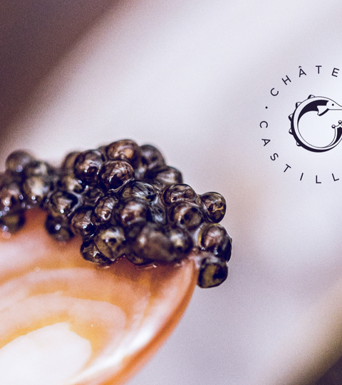 NOUS TROUVER en Novembre & Décembre 2024