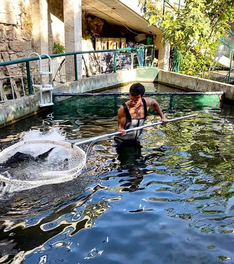 Nos nouvelles pensionnaires sont enfin arrivées !