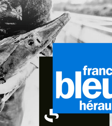 Interview de Frédéric RENE sur France Bleu Hérault